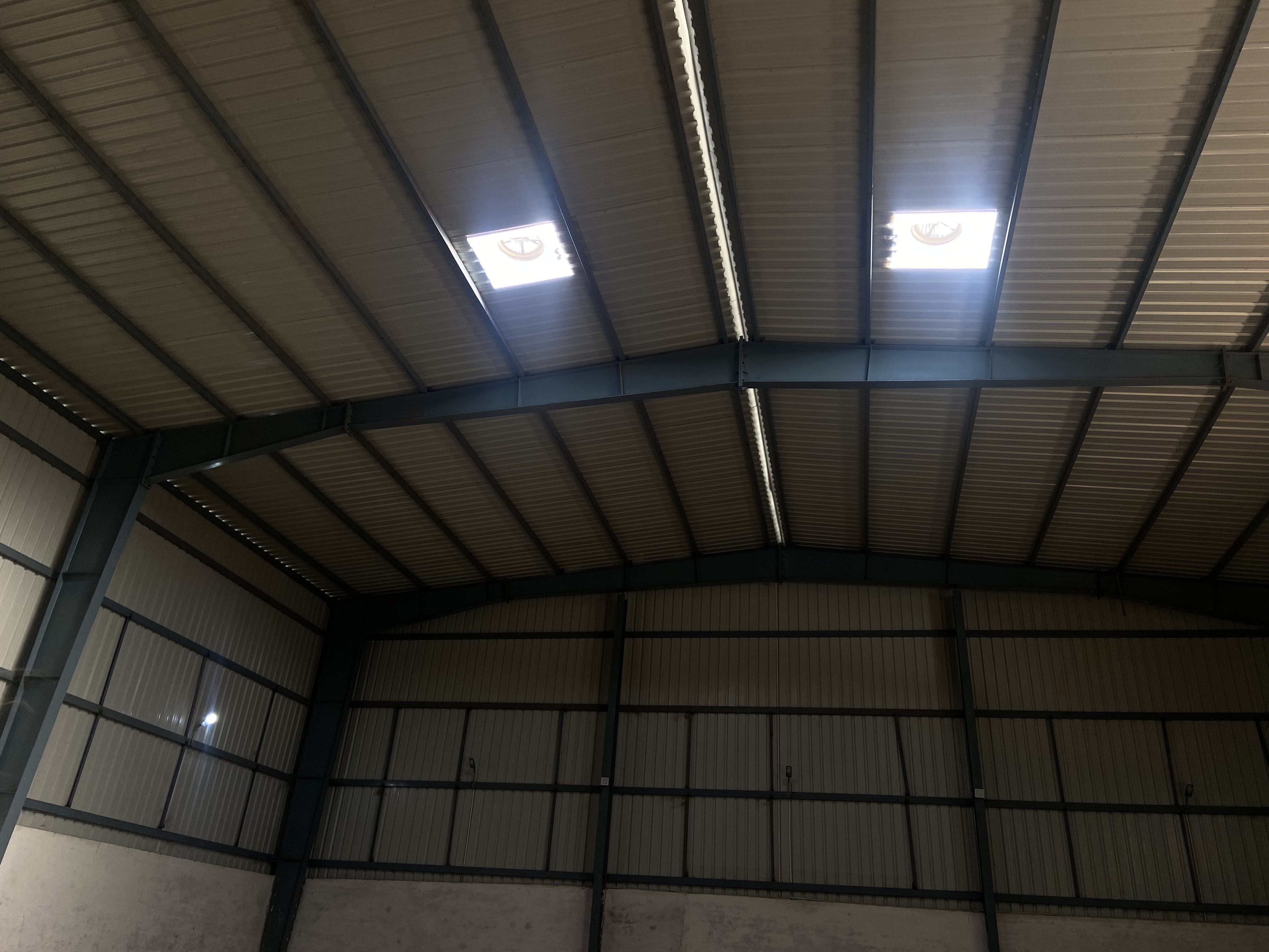 Skylight panels in the processing hall